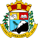 Câmara Municipal de Caratinga/MG